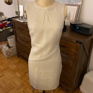 Silver glittery shift dress